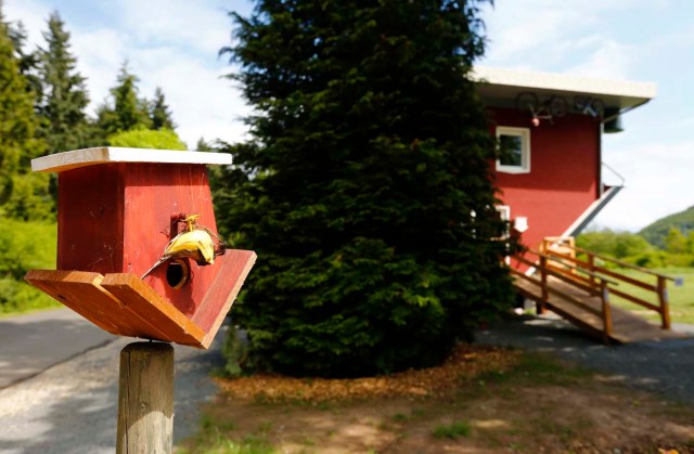 Una casa para pájaros se ve fuera de la "Crazy House", que se construye completamente al revés, en el pueblo de Affoldern cerca del lago Edersee / Kai Pfaffenbach / Reuters