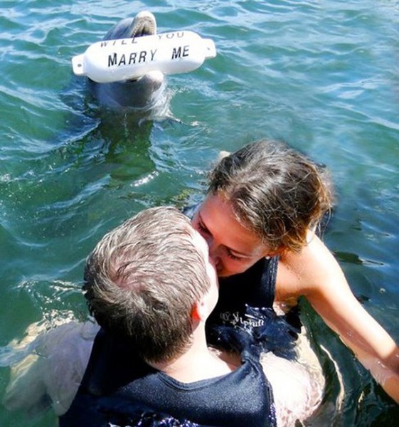 Foto: propuesta de matrimonio / boredpanda.com
