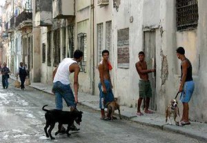 Patrick Symmes: Treinta días viviendo como un cubano