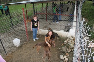 Mascotas en situación de calle tienen un refugio en Chacao (Fotos)