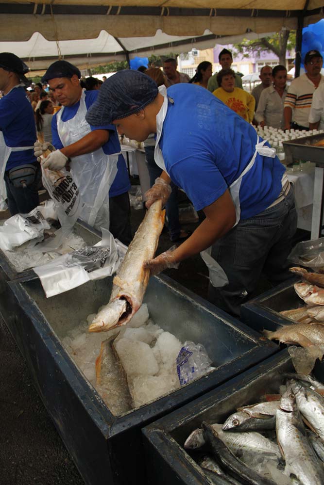 Poca variedad de pescado en comercios de Carabobo