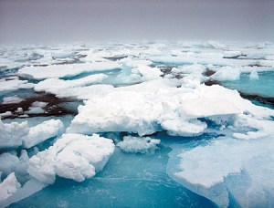 Aumento de la temperatura es la causa principal de los incendios en el Ártico