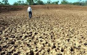 Las sequías son el desastre natural más destructivo y costoso que existe