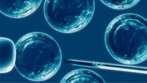 Japón pide investigar a fondo el último estudio sobre células madre