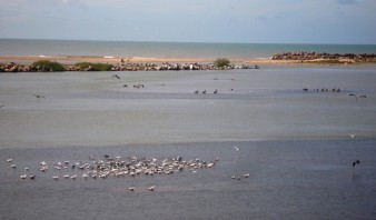 Pesca artesanal mermó 40% en últimos dos años