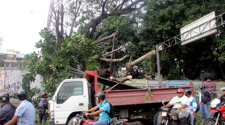 Unas 350 quebradas ponen en riesgo a Caracas