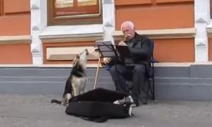 Otro perro con talento… conoce al cantante (Video)