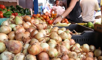 Precio de cebolla subió 180% entre agosto y noviembre