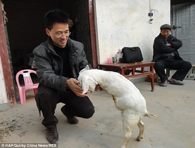 Compra una cabra de dos patas para enfrentar el cáncer (Fotos)