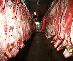 Exportaciones de carne brasileña a Venezuela aumentan 85,68 % en 2013