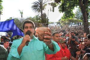 Maduro calcula tala de 5000 árboles por protestas: Pidió captura para responsables del ecocidio