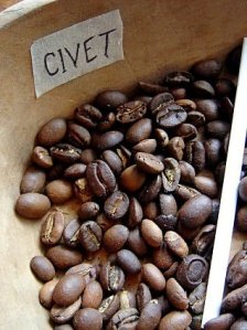 Denuncian prácticas abusivas en la industria del café más caro del mundo