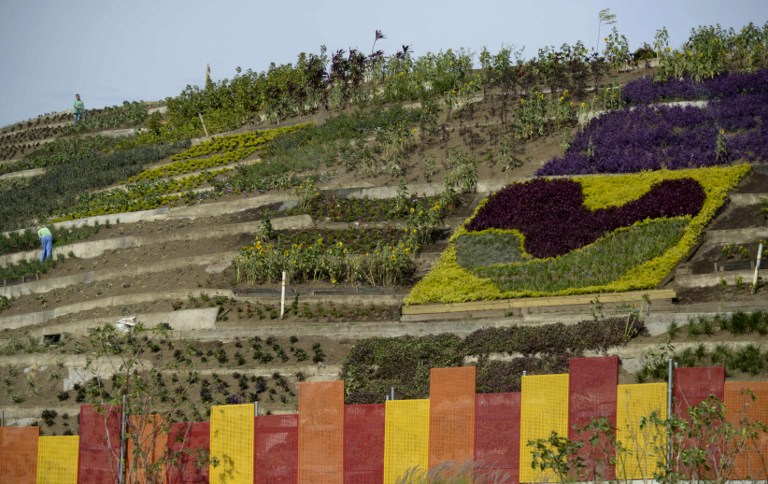 Basural símbolo de la marginalidad en Medellín se transforma en jardín (Fotos)