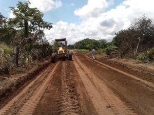 Cómo repercutirá el aumento del diésel en el golpeado sector agrícola de Venezuela