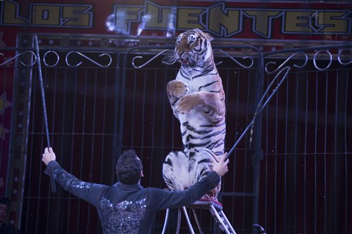 Francia prohibirá los animales salvajes en los circos ambulantes