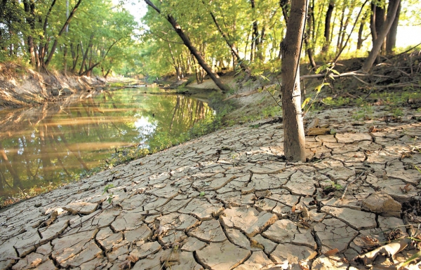 Japón dice que fenómeno El Niño está cerca