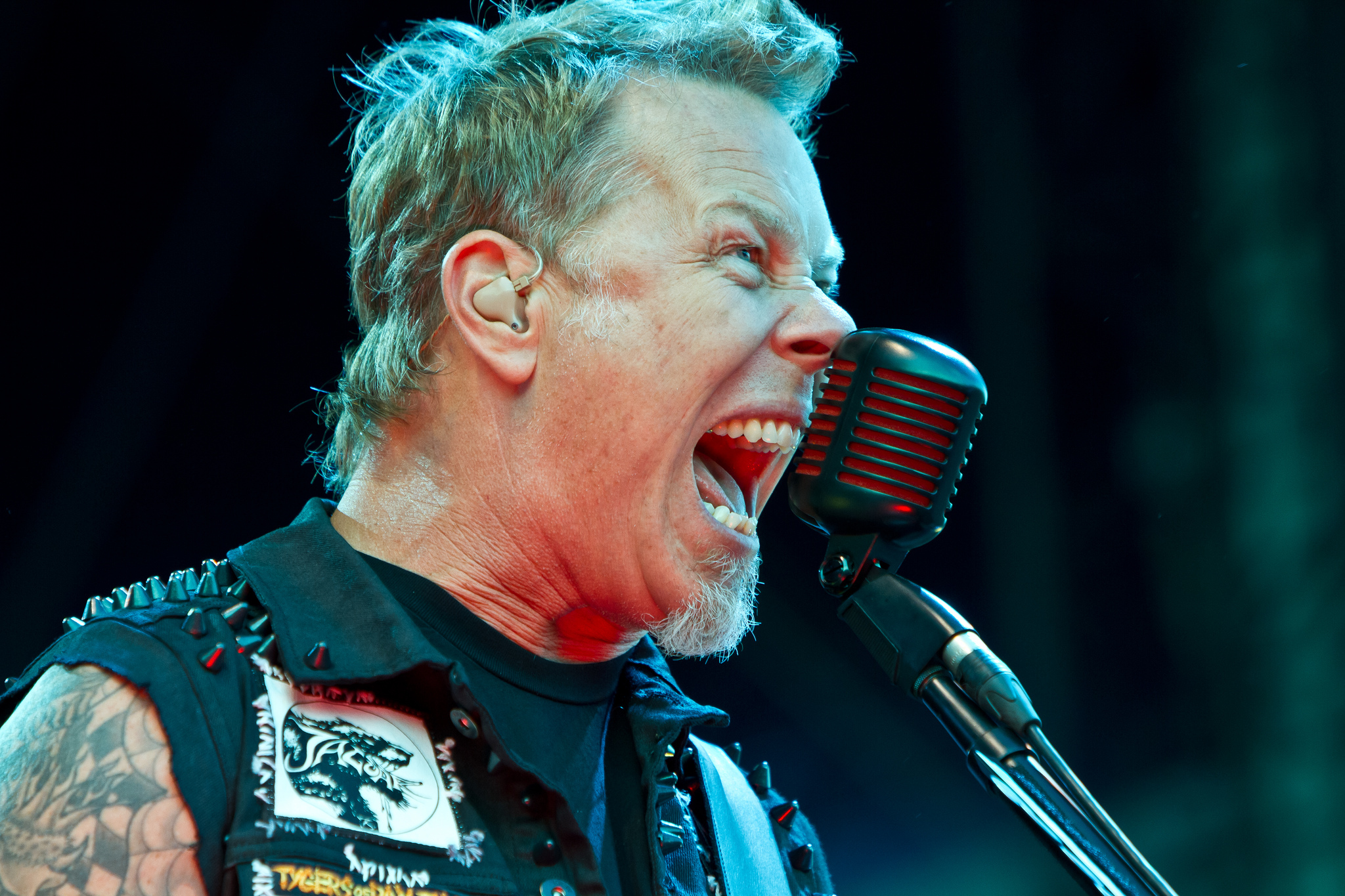 Una nueva especie de serpiente venenosa es nombrada como el vocalista de Metallica (FOTO)