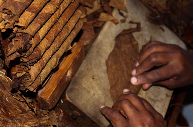 Fábricas de tabacos en Cuba: Barrotes de humo