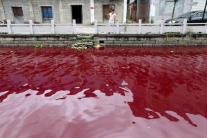 El agua de un río en China se tiñe de rojo sin explicación (Foto)