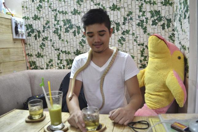 Una cafetería donde los clientes acarician reptiles