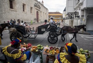 Los caballos de los carruajes de Cartagena están muriendo (Fotos)