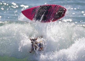 Un campeonato de surf para perros (Fotos)