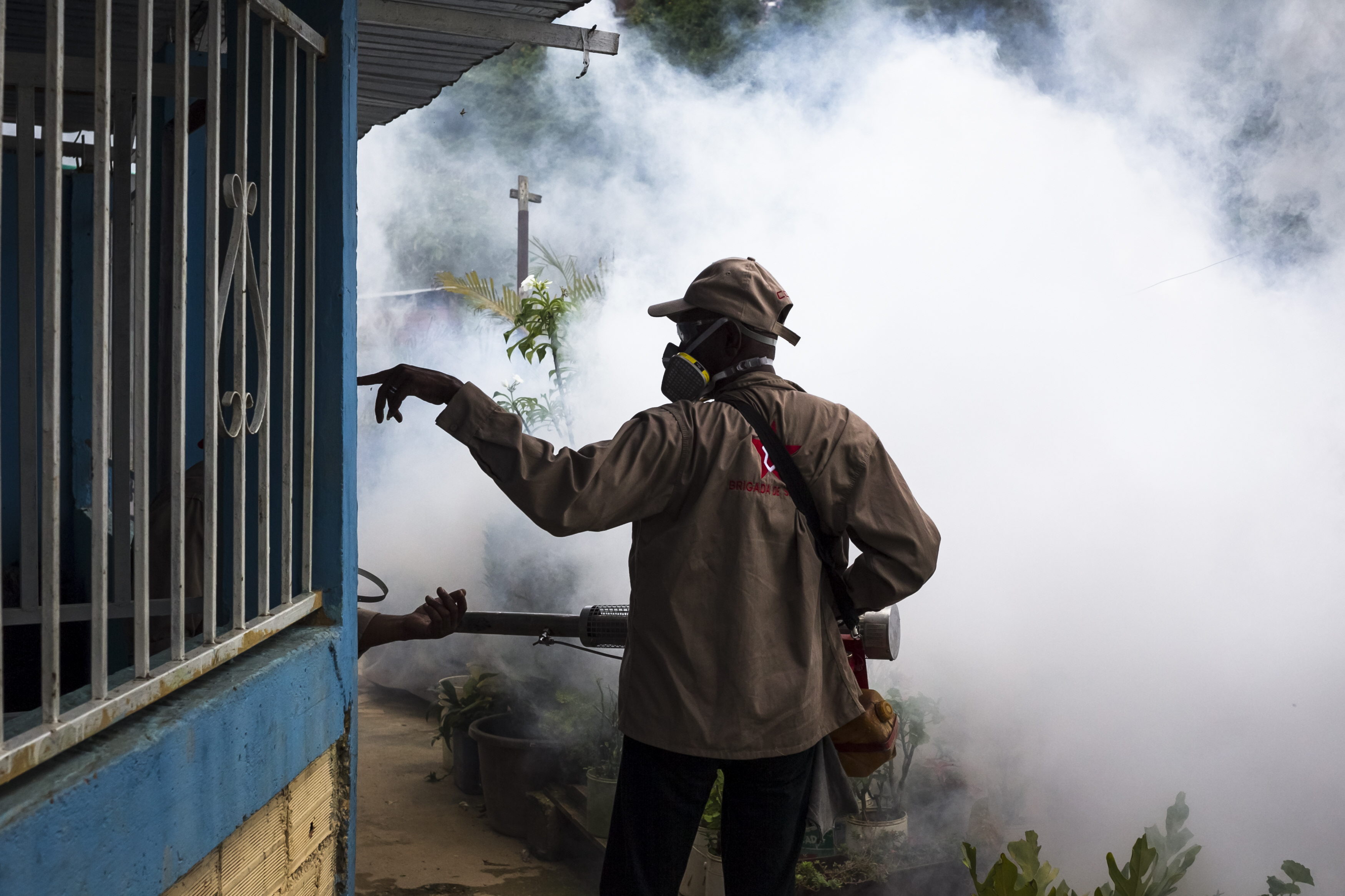 Sociedad de Infectología denunció que el dengue avanza en Venezuela