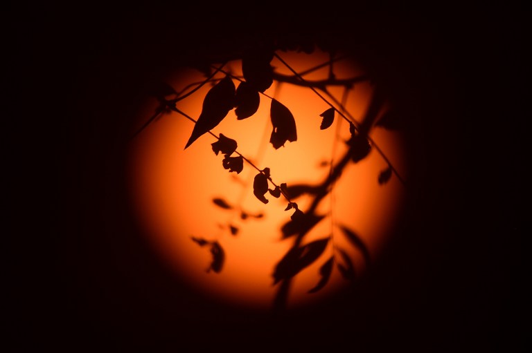 Norteamérica observó el último eclipse de sol del año (Fotos)