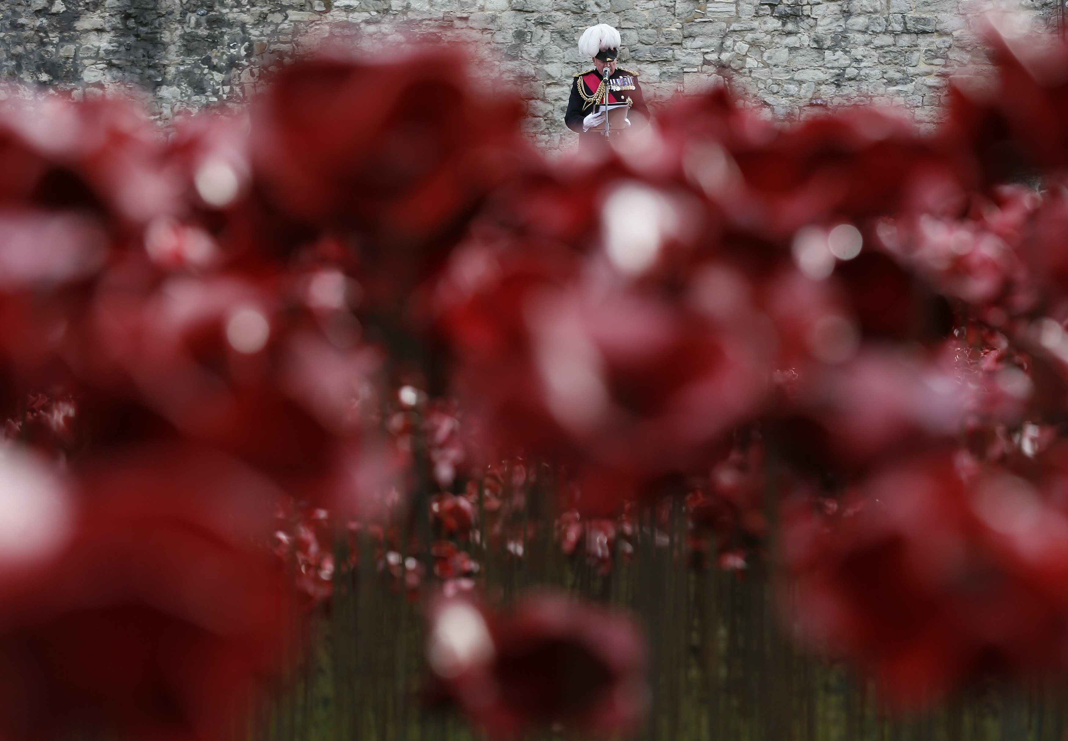 Empiezan a retirar las 900.000 amapolas de cerámica en Londres (Fotos)