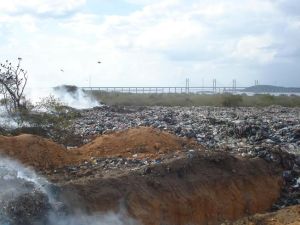 Denuncian a gobernación de Bolívar por crimen ambiental en Ciudad Guayana (Fotos)