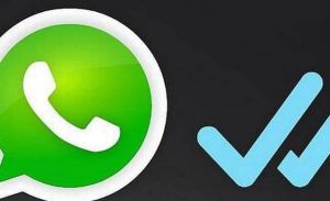 WhatsApp lanzó un espía, pero puedes eludirlo