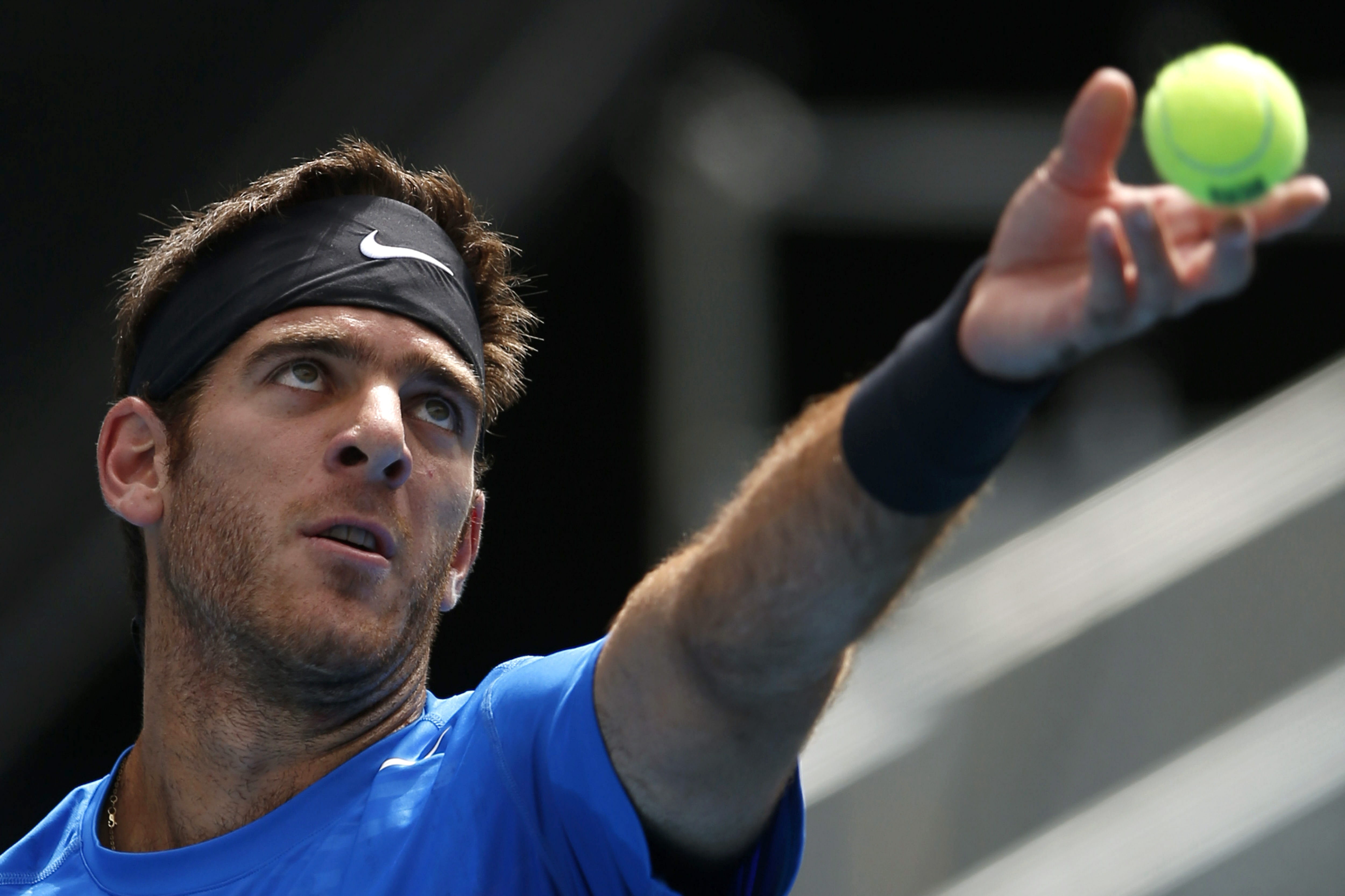 Juan Martín Del Potro logra un cupo a la final del Abierto Mexicano de tenis