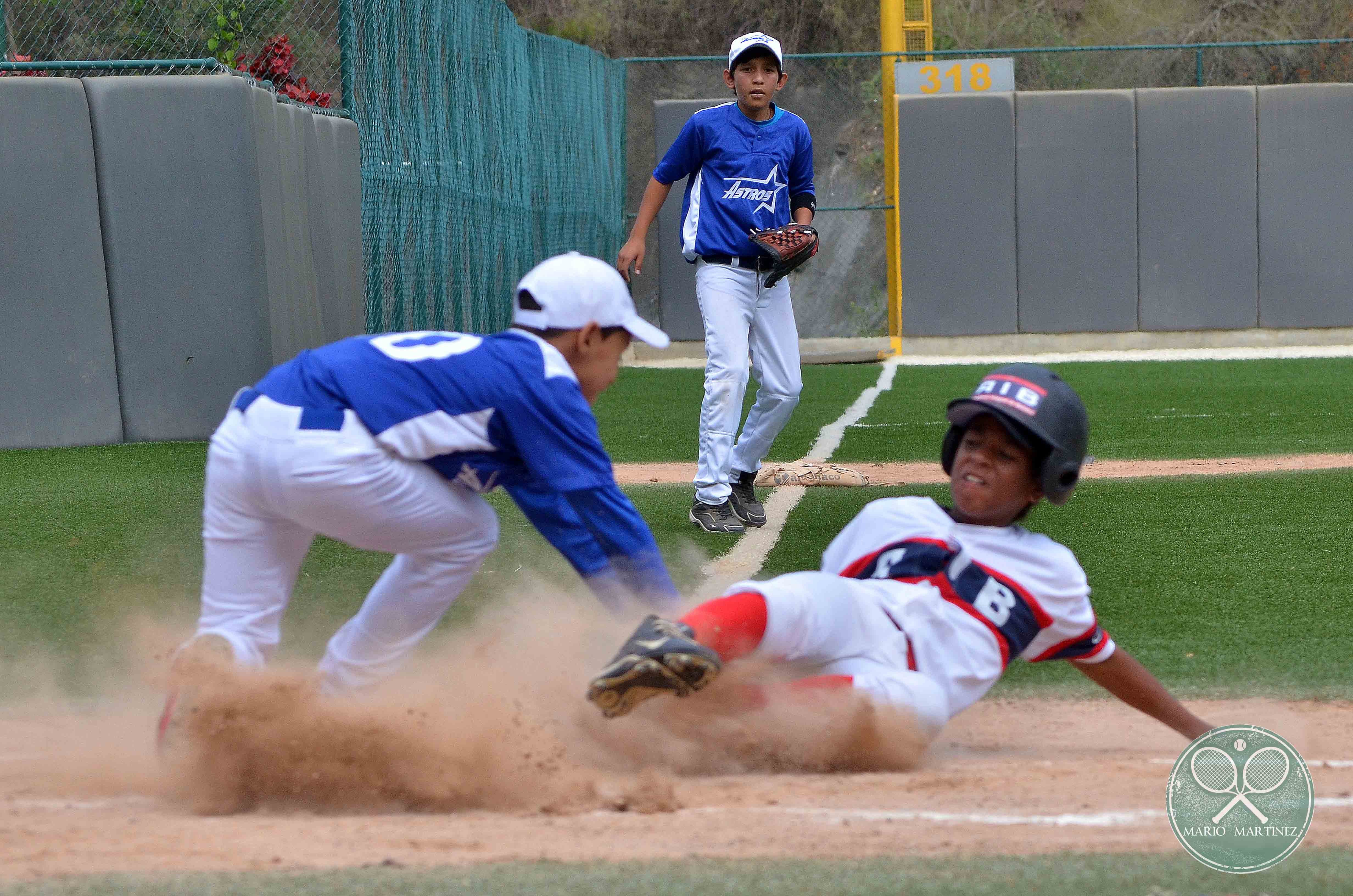 Chamos con garras, las semillas del béisbol vinotinto