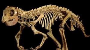 Científicos rusos reconstruyen dinosaurio que vivió hace cien millones años
