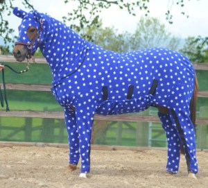 ¡Increíble! Pijamas para caballos (Fotos)