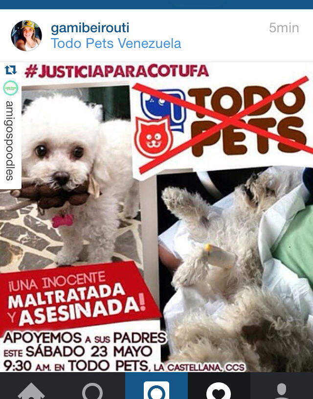 El caso Cotufa: Les ofrecieron un perro y 50 mil bolos tras la muerte de su mascota