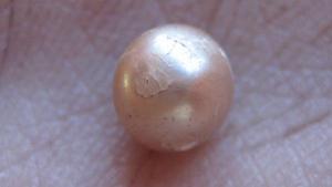 Descubren perla natural de 2.000 años de antigüedad