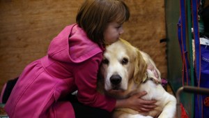 Si un niño crece con un perro podría reducir el riesgo de asma en 15%, según estudio