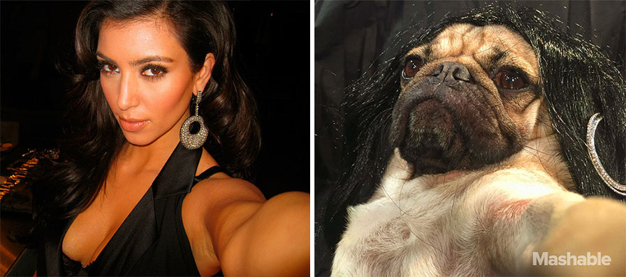 ¿Quién es quién? Perrito recrea los selfie más calientes de Kim Kardashian (Fotos)