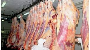 Carniceros de Aragua obligados a vender a precios de pérdida