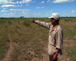 “Revolución agrícola” aplicada por el Gobierno acabó con la producción en el campo venezolano