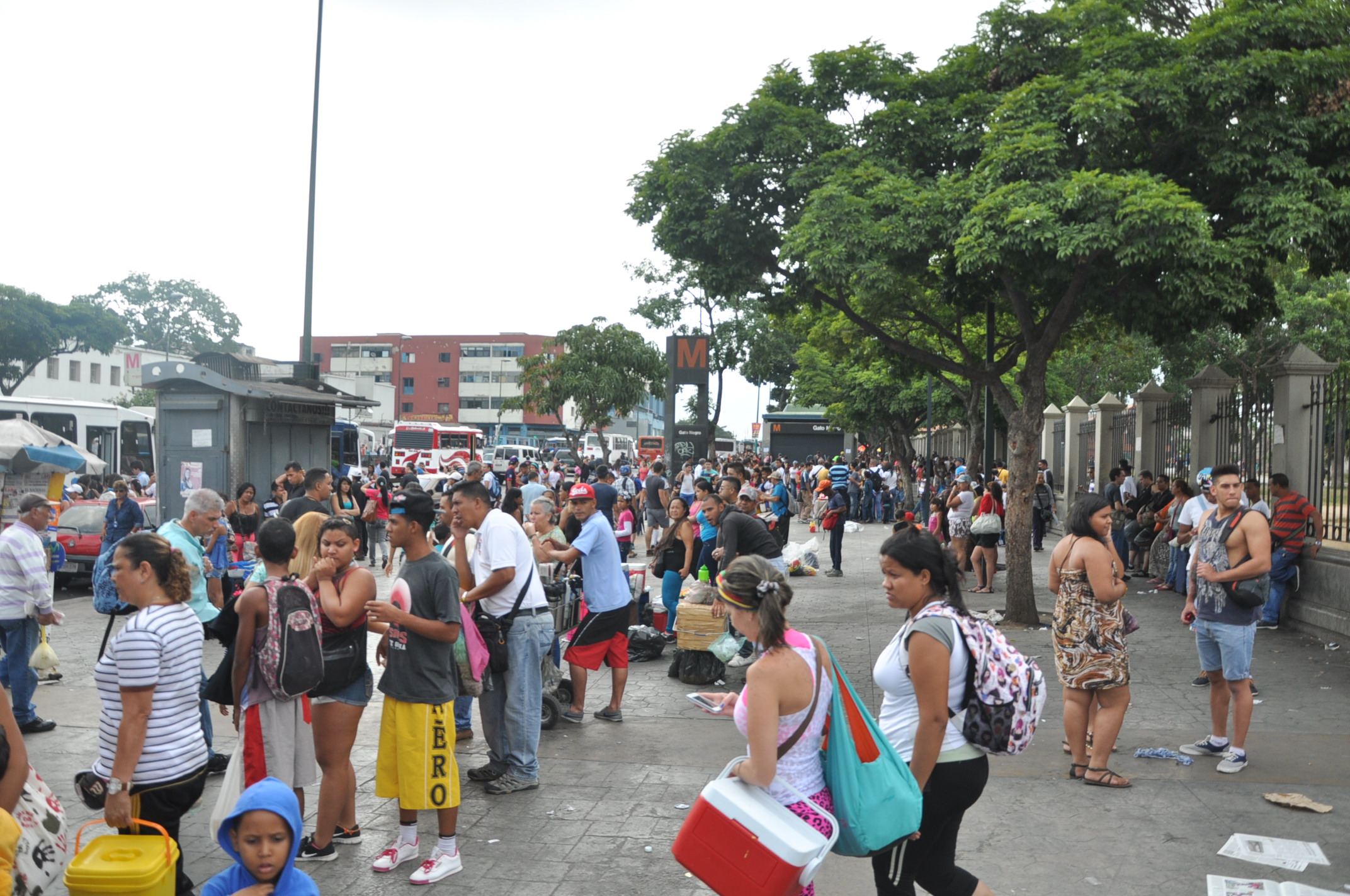 La mega cola que hicieron los temporadistas para ir a la playita (Fotos)