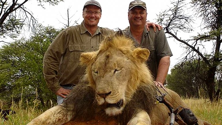 Habló el asesino del león Cecil: Si hubiera sabido que era importante no lo hubiera cazado