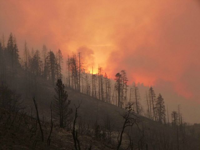 EN FOTOS: Estado de emergencia en California por incendios forestales