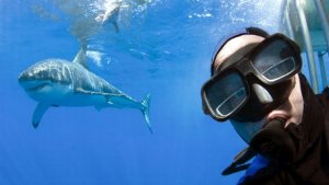 En 2015, las selfies acumulan más muertes que los ataques de tiburones