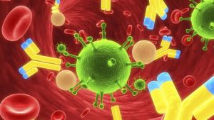 Anticuerpos “armados” con antibióticos son eficaces para vencer bacterias resistentes