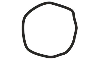 ¿Esto es un círculo? Lo que respondas podría indicar tus inclinaciones políticas