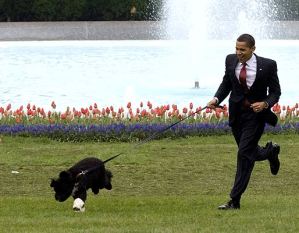 Detienen a un hombre por tratar de secuestrar al perro de Obama