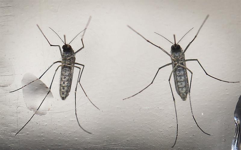 Venezolana con zika en España da a luz un bebé sano