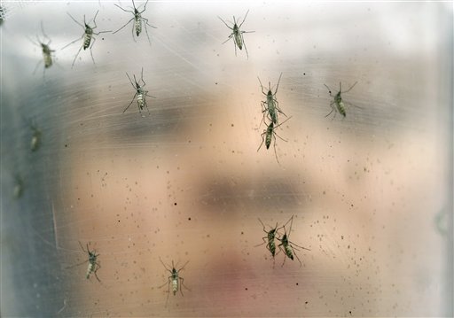 Costa Rica confirma primer caso de Guillain Barré asociado al zika